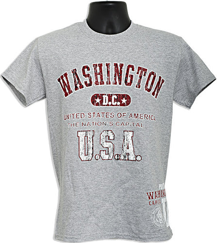 T-Shirt Washington DC 2-Hit SPORT GREY
