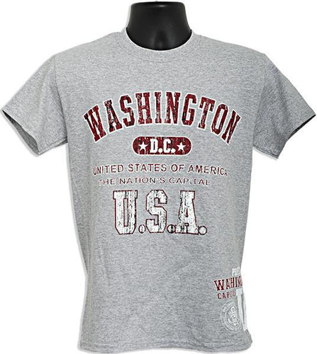 TSDC05G3 T-Shirt Washington DC 2-Hit SPORT GREY