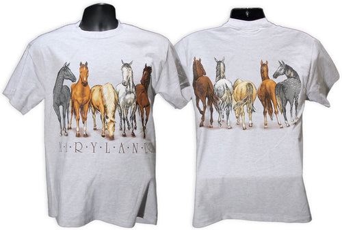 T-Shirt Maryland Horses 2-Sided ASH
