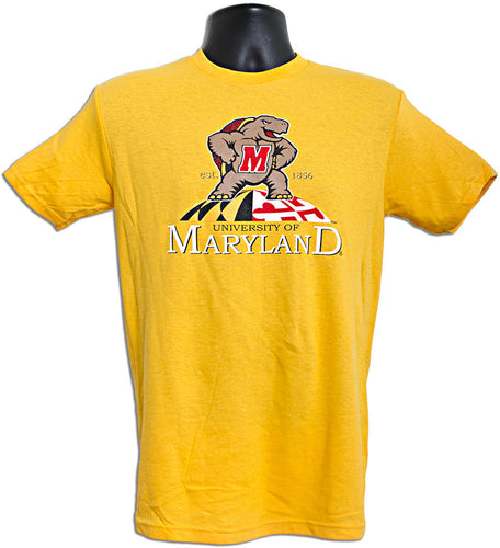 T-Shirt University of Turtle/Globe GOLD