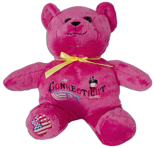 Plush Bear Beanie Connecticut Symbols PINK Souvenir