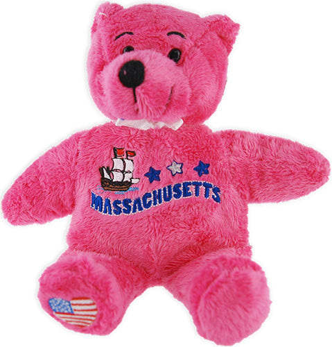 Plush Bear Beanie Massachusetts Symbols Pink Souvenir