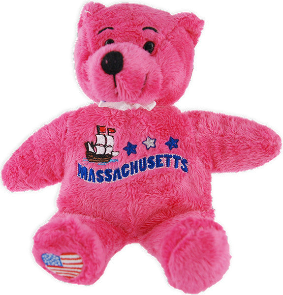 Plush Bear Beanie Massachusetts Symbols Pink Souvenir