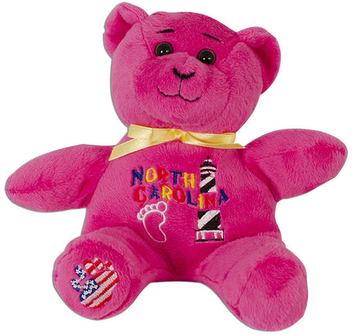 Plush Bear Beanie North Carolina Symbols PINK Souvenir
