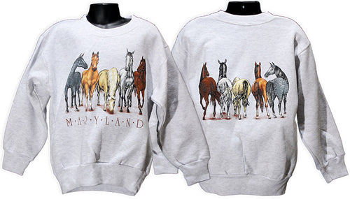Youth sweatshirt Maryland Horses Ash