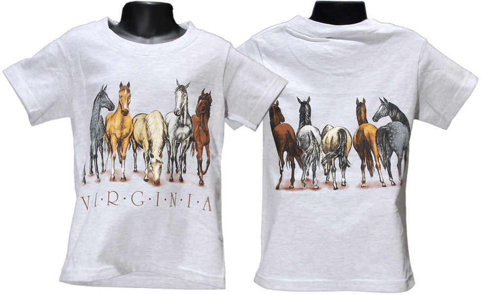 YTVA02A Youth T 100% Virginia Horses Ash
